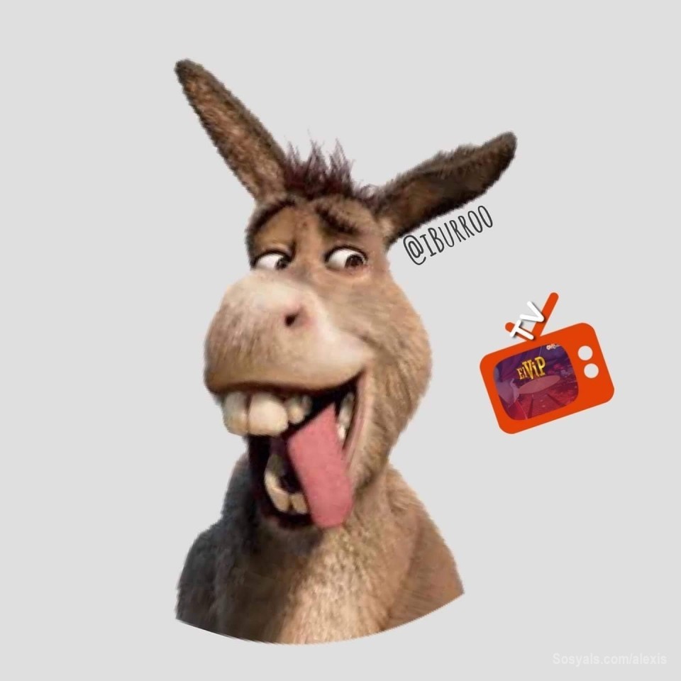 #MisRedesSociales
El #Burro de #Shrek +1.3 millones de seguidores 

Es uno de mis personajes de mis películas favoritas porque hace mucho match con la cultura mexicana por eso fue una de mis primeras páginas de tributo en la que publicamos todo lo referente a esta exitosa saga y también todo sobre películas animadas, comedia y México.

https://www.facebook.com/iburroo